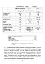 Referāts 'Organizācijas raksturojums', 8.