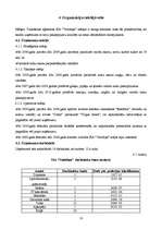 Referāts 'Organizācijas raksturojums', 10.