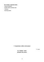 Referāts 'Organizācijas raksturojums', 14.