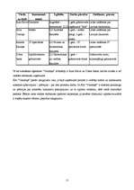 Referāts 'Organizācijas raksturojums', 15.