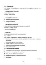 Referāts 'Organizācijas raksturojums', 19.