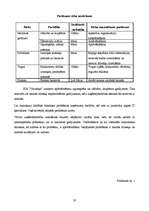 Referāts 'Organizācijas raksturojums', 20.