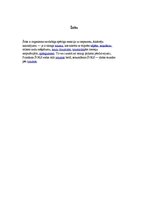 Konspekts 'Asiņošana', 3.