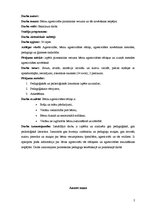 Diplomdarbs 'Bērna agresivitāte pirmsskolas vecumā un tās novēršanas iespējas', 2.