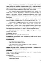 Diplomdarbs 'Bērna agresivitāte pirmsskolas vecumā un tās novēršanas iespējas', 5.