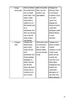 Diplomdarbs 'Bērna agresivitāte pirmsskolas vecumā un tās novēršanas iespējas', 28.