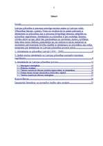 Referāts 'Atteikšanās no Latvijas pilsonības', 2.