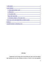 Referāts 'Vācijas virtuve', 2.