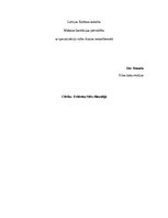 Referāts 'Cilvēks Frīdriha Nīčes filosofijā', 1.