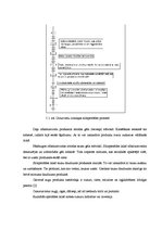 Konspekts 'Pākšaugi', 11.