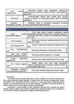 Referāts 'SIA "Būvprojektu vadība" darbības pilnveide', 10.