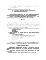 Konspekts 'Pašu kapitāls ', 2.