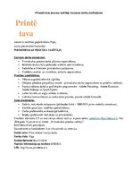 Konspekts 'Divu darba sludinājumu analīze', 7.