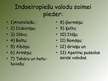 Prezentācija 'Indoeiropiešu valodu saime', 3.