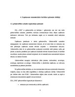 Prakses atskaite 'Prakse restorānā "Zilā govs"', 12.