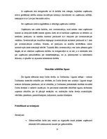 Prakses atskaite 'Prakse restorānā "Zilā govs"', 15.