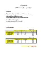 Referāts 'Optimizācija', 1.