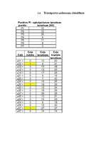 Referāts 'Optimizācija', 18.