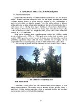Referāts 'Ainavu veidošana. Langervaldes meža labiekārtojuma projekts', 17.