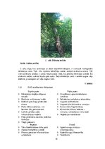 Referāts 'Ainavu veidošana. Langervaldes meža labiekārtojuma projekts', 18.
