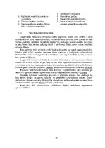 Referāts 'Ainavu veidošana. Langervaldes meža labiekārtojuma projekts', 19.