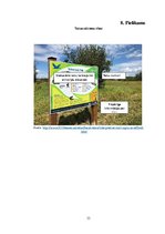 Referāts 'Ainavu veidošana. Langervaldes meža labiekārtojuma projekts', 33.