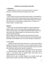 Referāts 'Materiālu otrreizējā izmantošana būvniecībā', 11.