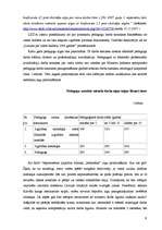 Referāts 'Iemesli skolotāju neapmierinātībai ar savu darbu', 9.