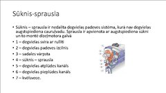 Prezentācija 'Automobīļu sprauslas', 8.