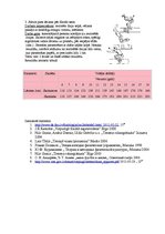 Konspekts 'Izturības attīstība 14-16 gadus veciem skolēniem', 4.