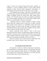 Referāts 'Izraēlas militārās akcijas pret kaimiņvalstīm 20.gs. 50.-60.gados', 7.