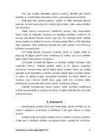 Referāts 'Izraēlas militārās akcijas pret kaimiņvalstīm 20.gs. 50.-60.gados', 13.