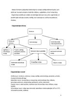 Prakses atskaite 'Prakses atskaite Latvijas Etnogrāfiskajā brīvdabas muzejā', 4.