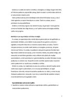 Prakses atskaite 'Prakses atskaite Latvijas Etnogrāfiskajā brīvdabas muzejā', 7.