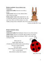 Paraugs 'Rotaļu kopa sociālo prasmju pilnveidei', 3.