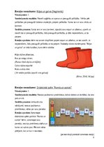 Paraugs 'Rotaļu kopa sociālo prasmju pilnveidei', 6.