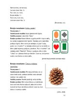 Paraugs 'Rotaļu kopa sociālo prasmju pilnveidei', 13.