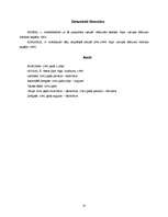 Referāts 'Antisemītisma propaganda Latvijā nacistu okupācijas laikā', 14.