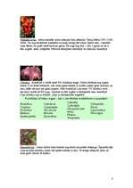 Referāts 'Austrālijas dzīvnieki, augi un Kakadu nacionālais parks', 6.