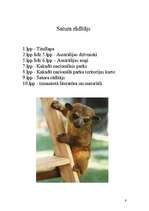 Referāts 'Austrālijas dzīvnieki, augi un Kakadu nacionālais parks', 9.