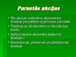 Prezentācija 'Akcijas', 9.