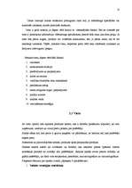 Referāts 'Četri mārketinga mix elementi', 10.