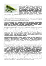 Referāts 'Питание морской свинки', 1.