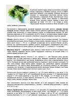 Referāts 'Питание морской свинки', 3.