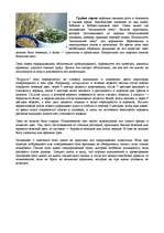 Referāts 'Питание морской свинки', 8.