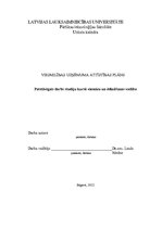 Biznesa plāns 'Viesmīlības uzņēmuma attīstības plāns', 1.