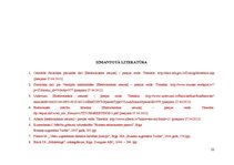 Biznesa plāns 'Viesmīlības uzņēmuma attīstības plāns', 22.