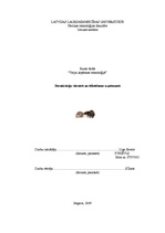 Referāts 'Deratizācija viesnīcā un ēdināšanas uzņēmumā', 1.