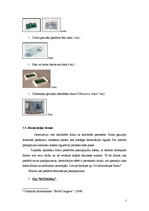 Referāts 'Deratizācija viesnīcā un ēdināšanas uzņēmumā', 7.