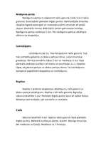 Eseja 'Bēthovena 20.sonātes analīze', 6.